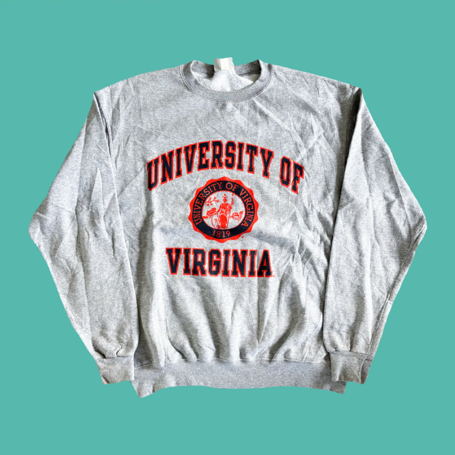 90s Champion Virginia Crewneck (L)