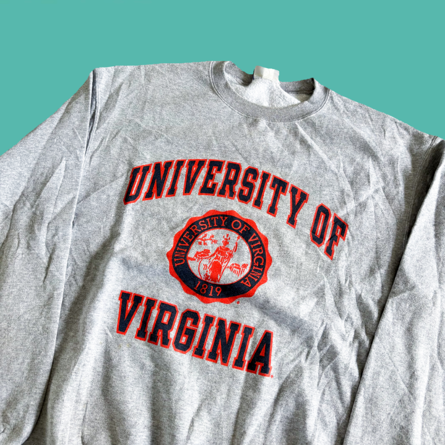 90s Champion Virginia Crewneck (L)